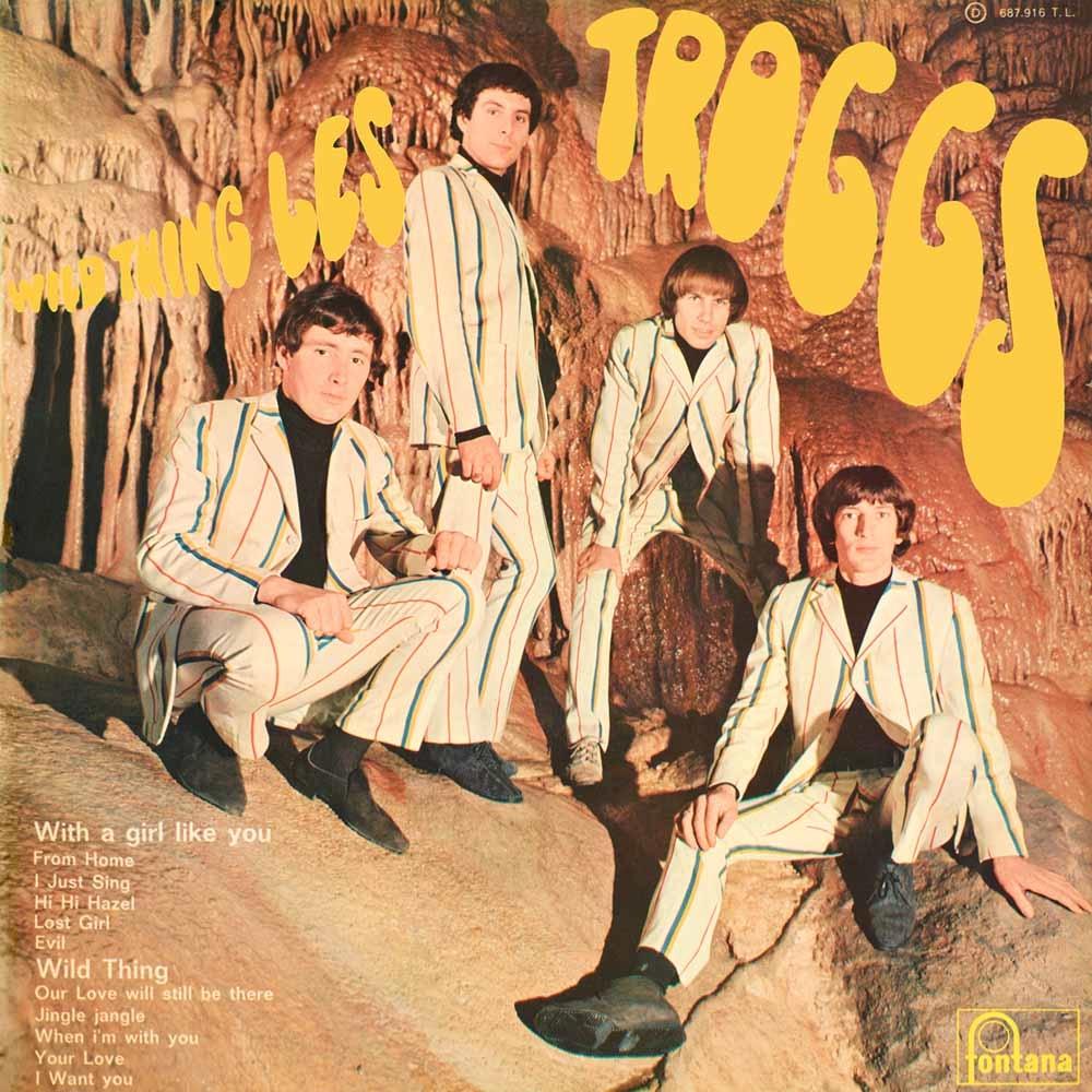 Troggs - Wild Thing - Cd