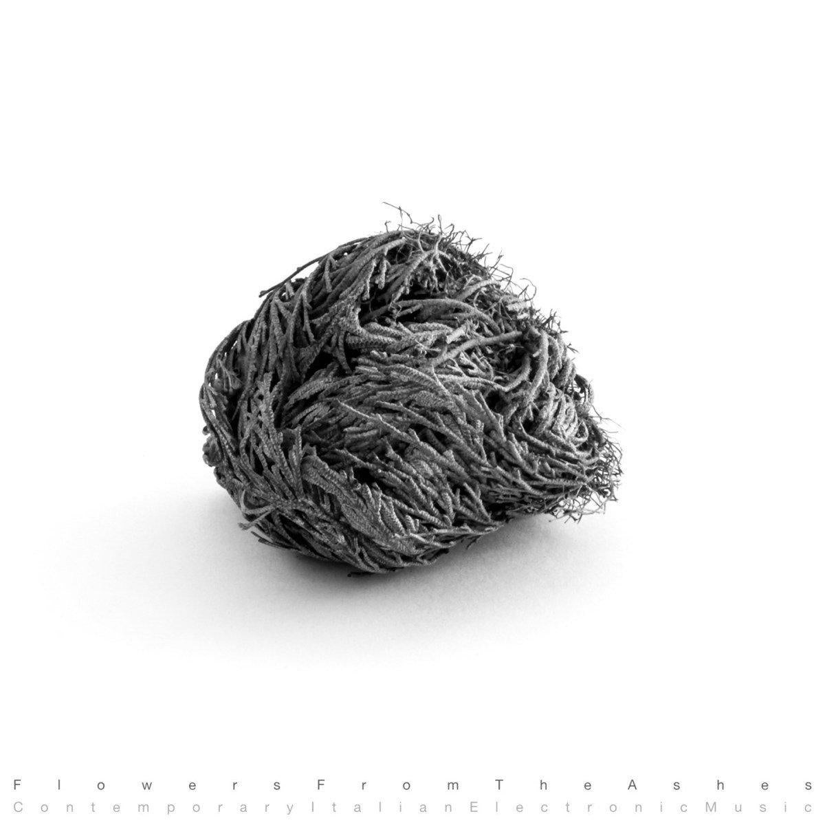 Various Artists - Flowers From the Ashes: Contemporary Italian Electronic Music - Lp
