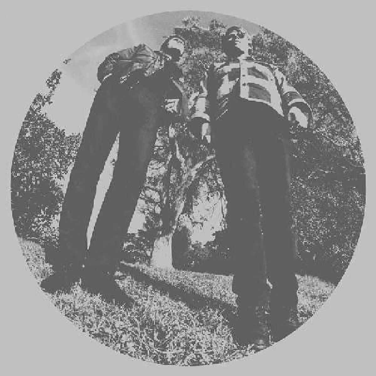 Ty Segall And White Fence - White Fence - Hair Vinyl - Lp