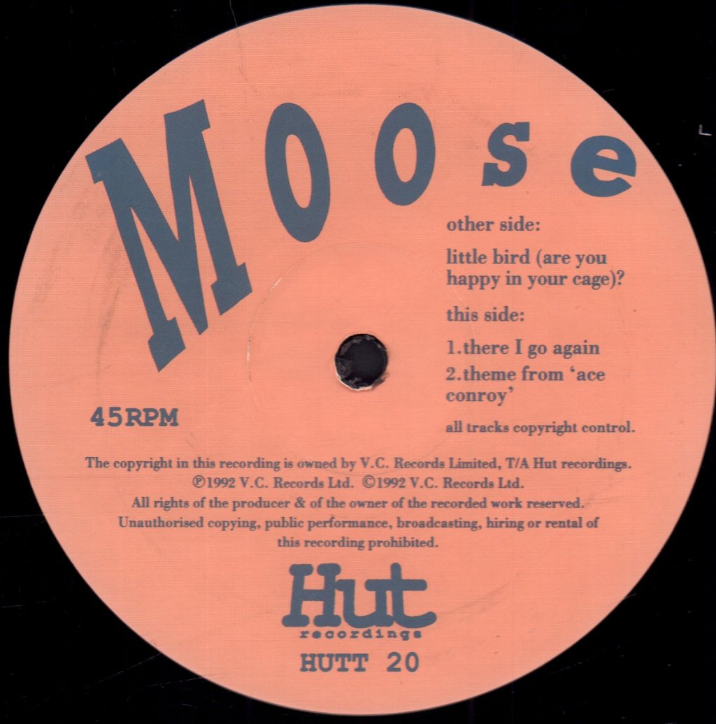 Moose - Little Bird - 12 Inch