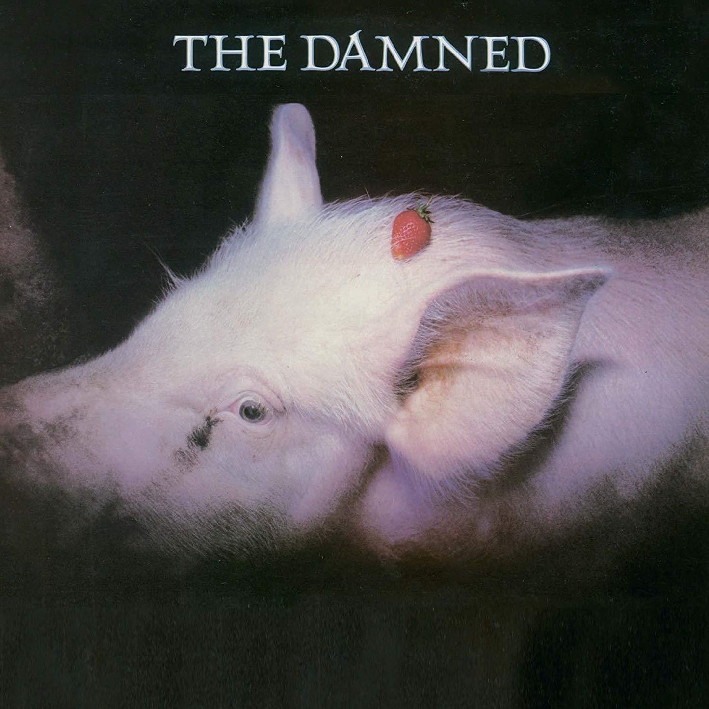 Damned (Punk) - Strawberries - Lp