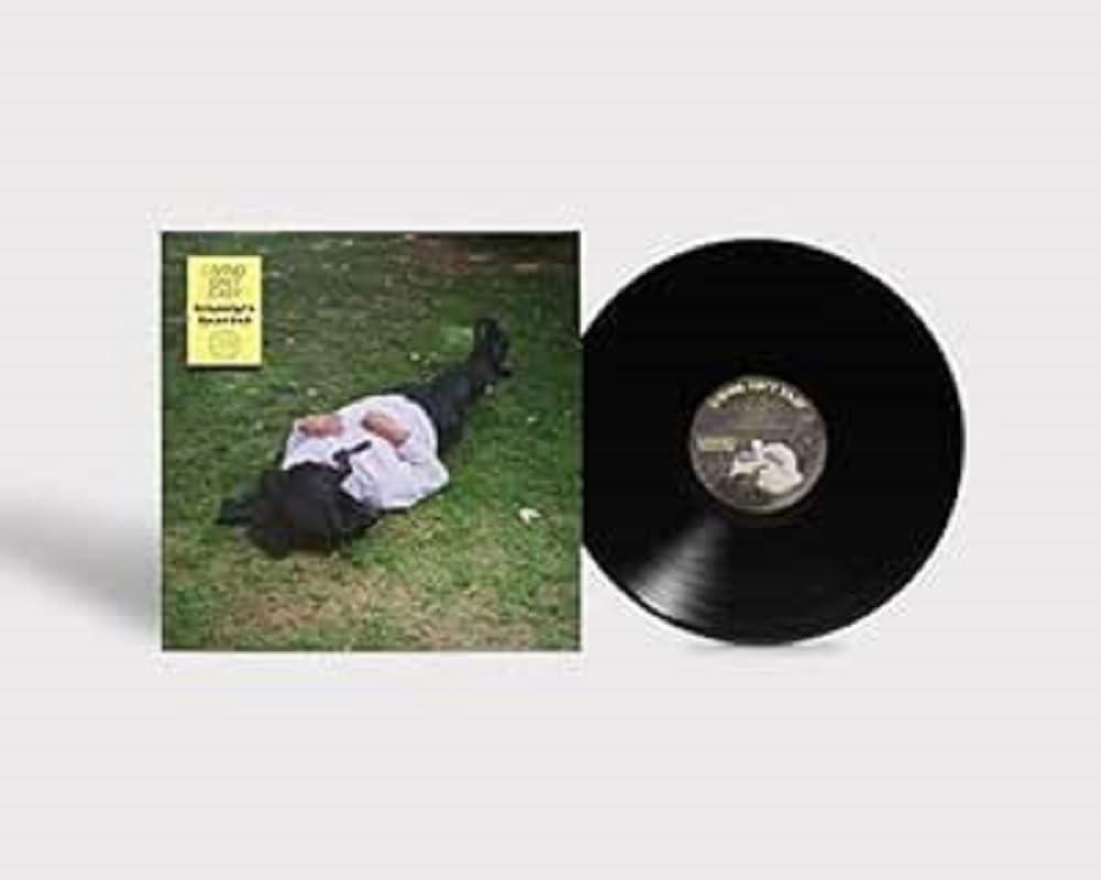 Robocobra Quartet - Living Isn't Easy - Lp