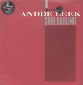 Andde Leek - Soul Darling - Double 12 Inch