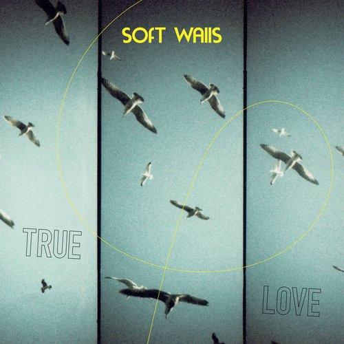 Soft Walls - True Love - Lp