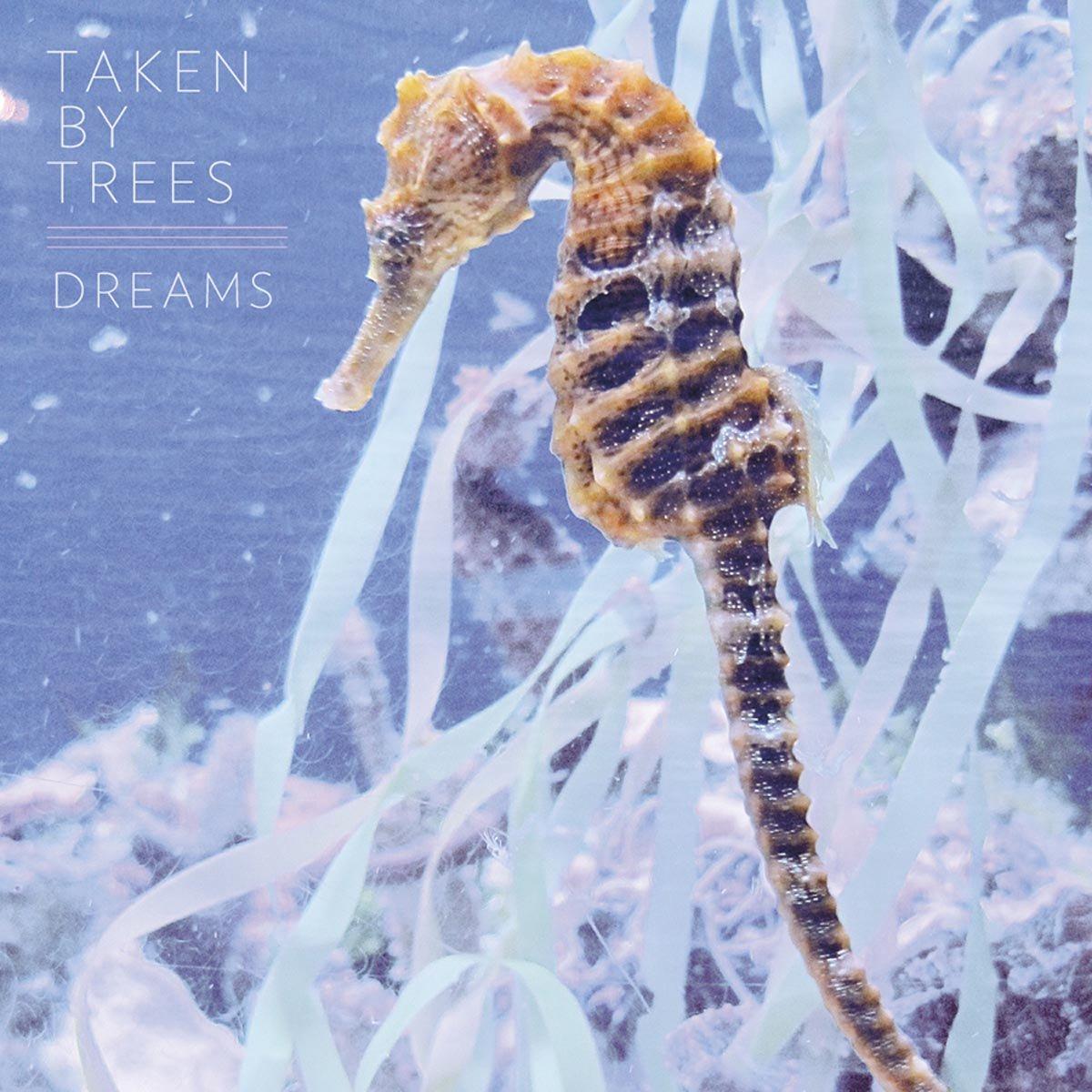 Taken By Trees - Dreams - Lp