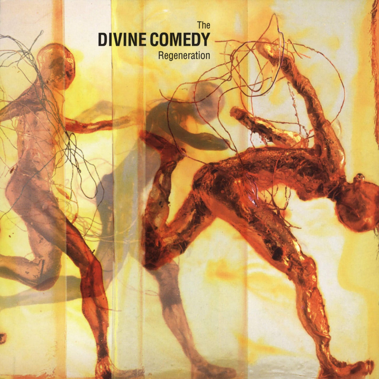 Divine Comedy - Regeneration - Lp