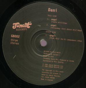 Dani (90'S Artist) - Angel - 12 Inch