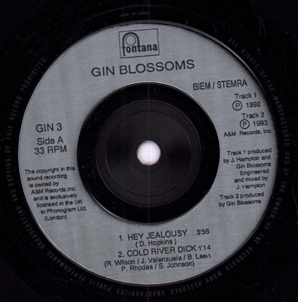 Gin Blossoms - Hey Jealousy - 7 Inch