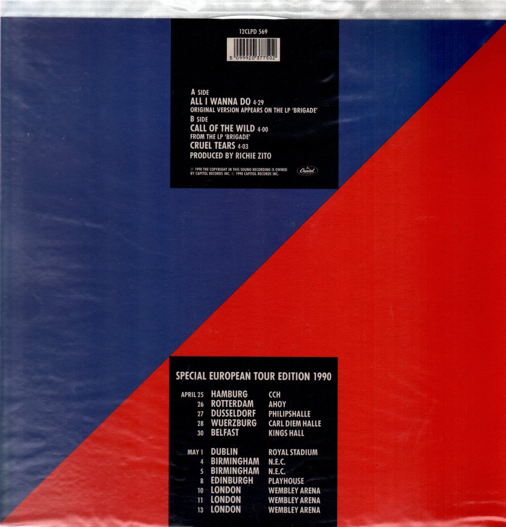 Heart - All I Wanna Do - 12 Inch