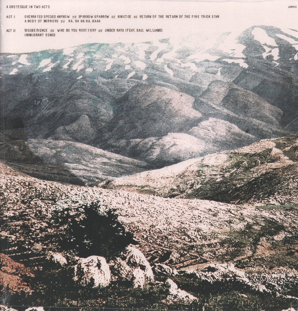 Deerhoof - Noble And God Like In Ruin - Lp