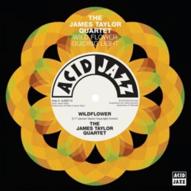 James Taylor Quartet - Wildflower / Guiding Light - 7 Inch