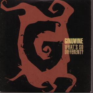 Ginuwine - What's So Different - Cd