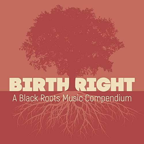 Various Artists - Birthright: A Black Roots Music Compendium - Cd