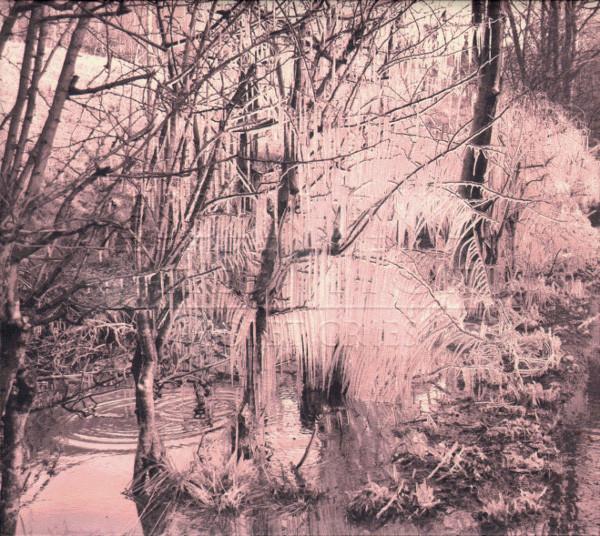 Esben And The Witch - Violet Cries - Cd
