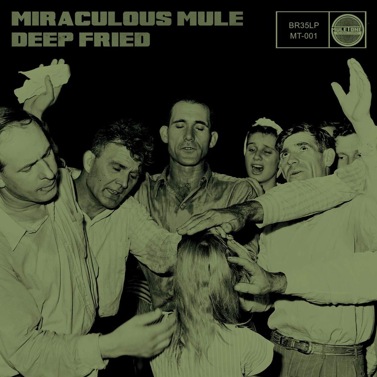 Miraculous Mule - Deep Fried - Lp