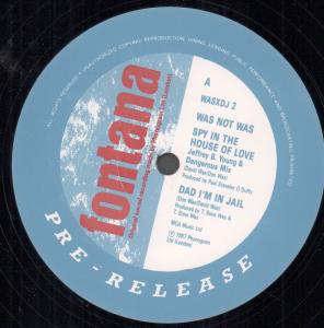 Was Not Was - Spy In The House Of Love - 12 Inch