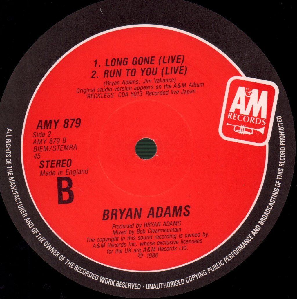 Bryan Adams - All I Want Is You - 12 Inch