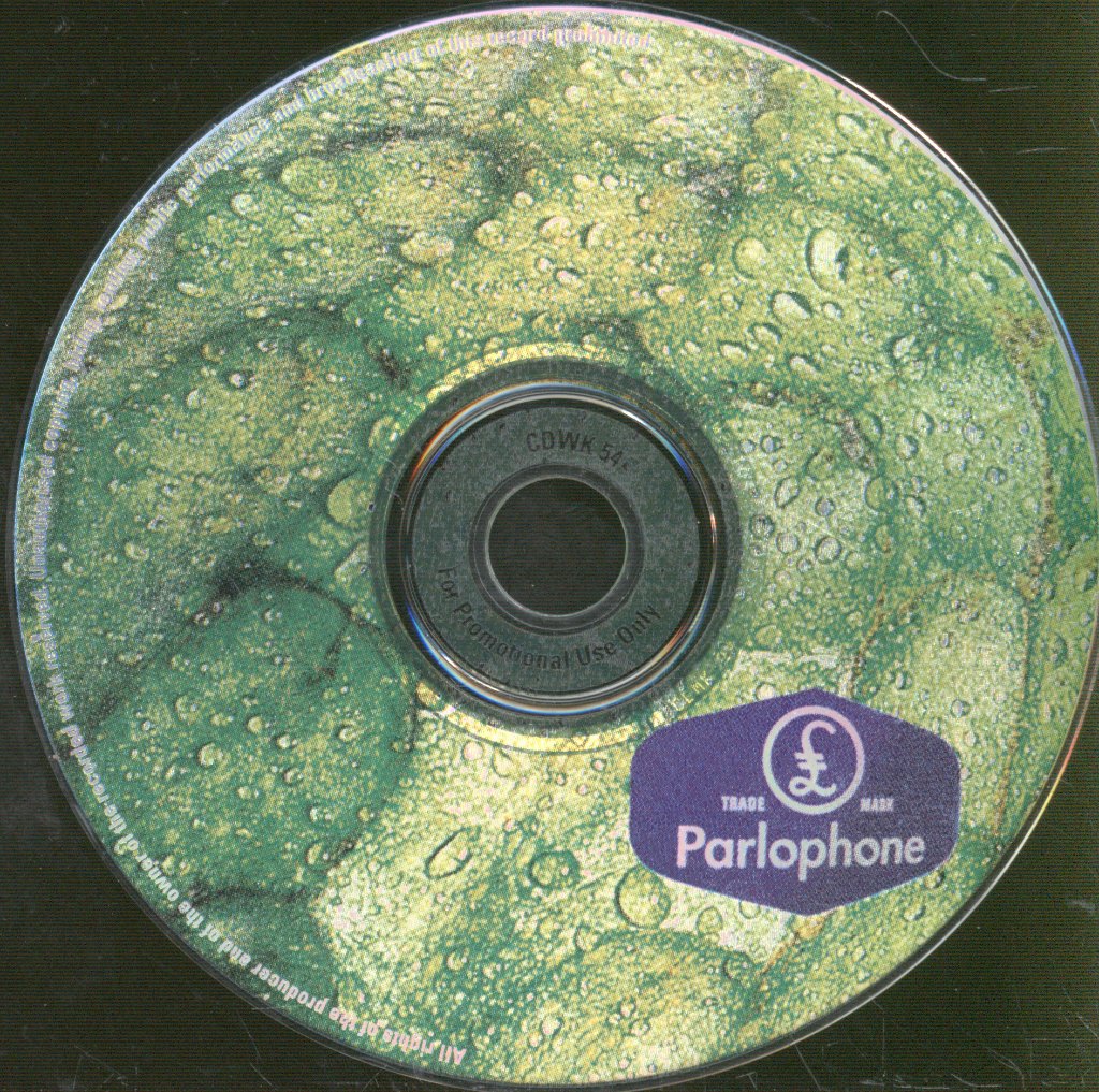 Various Artists - A Flavour Of The Label 5 - Cd