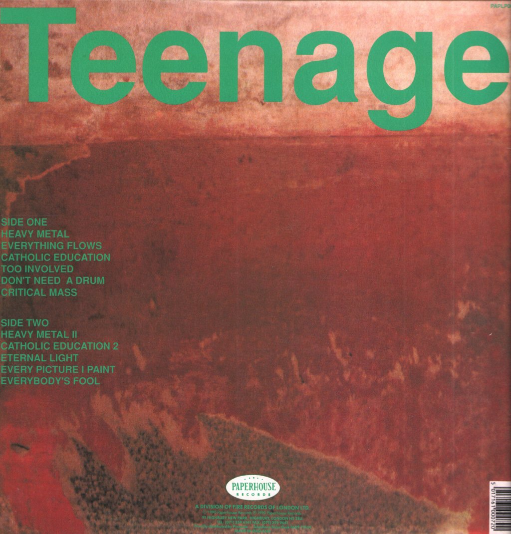 Teenage Fanclub - A Catholic Education - Lp