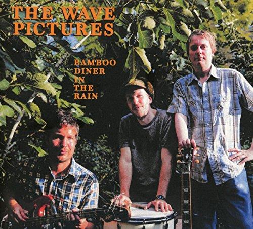Wave Pictures - Bamboo Diner In the Rain - Cd