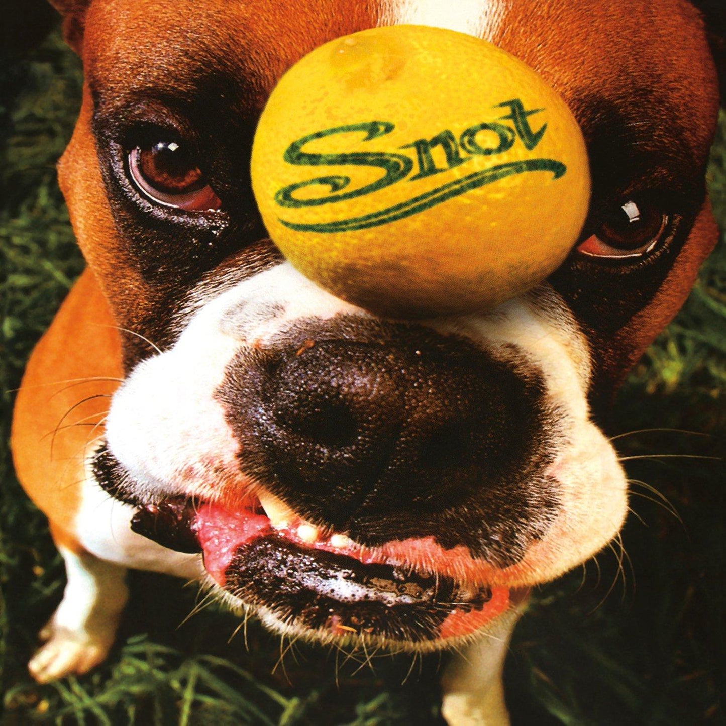 Snot - Get Some - Lp