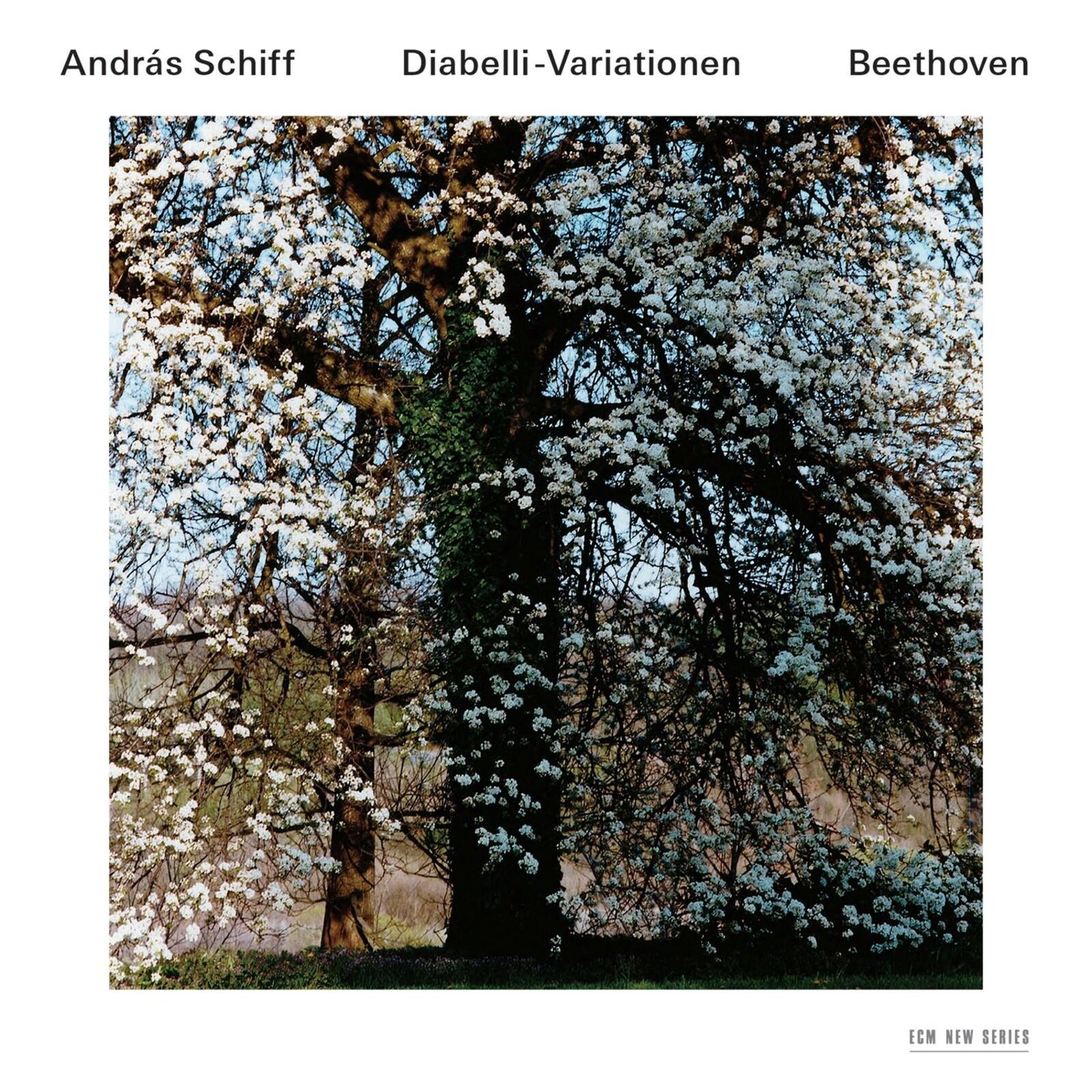 Beethoven - Beethoven: Diabelli-Variationen - Double Cd