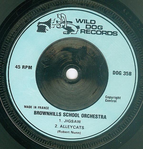Brownhills School Orchestra and Choir - Sing Out! - 7 Inch