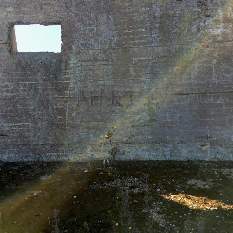 Desperate Journalist - In Search of the Miraculous - Lp