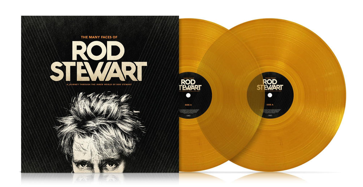 Various Artists - Many Faces of Rod Stewart (A Journey Through the Inner World of Rod Stewart) - Double Lp