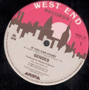 Senses - If You Can Count - 12 Inch