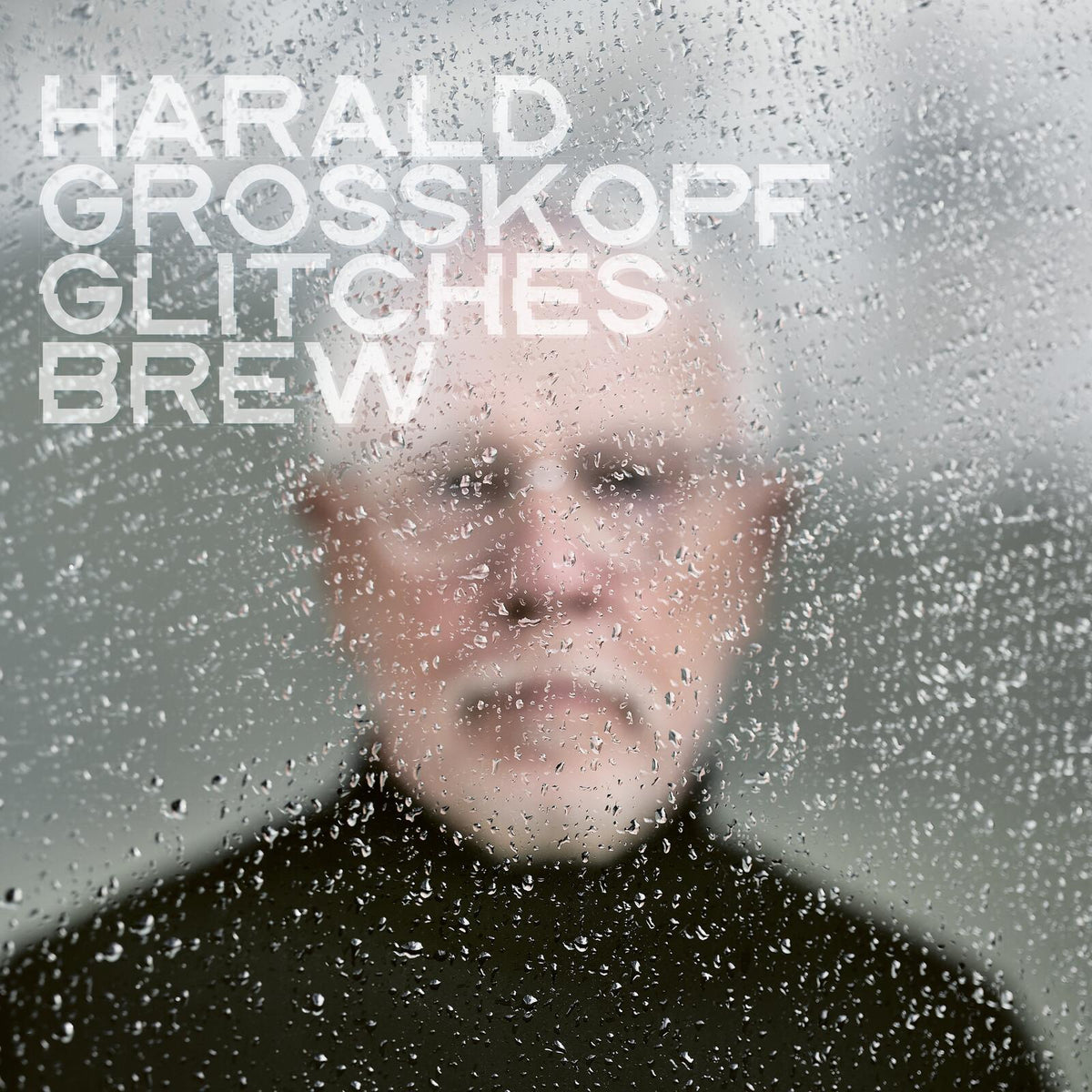 Harald Grosskopf - Glitches Brew - Lp