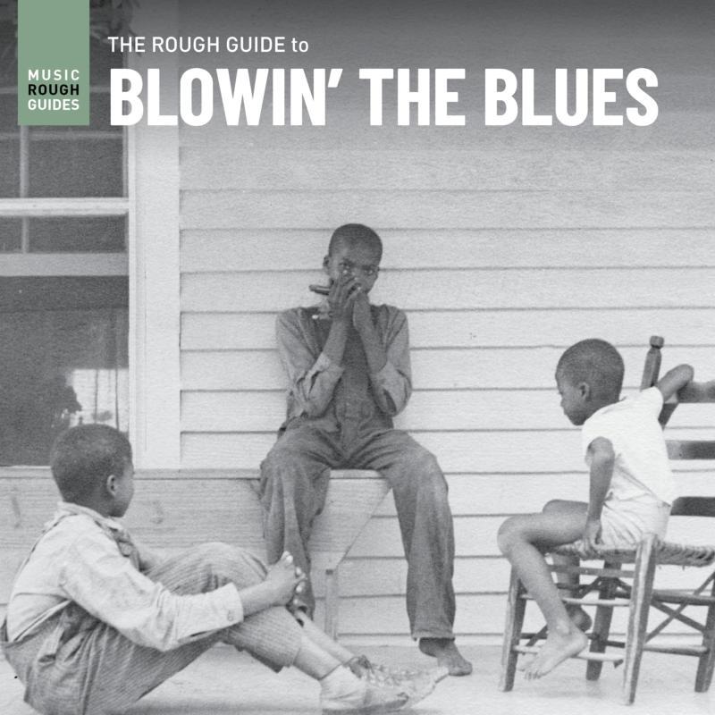 Various Artists - Rough Guide To Blowin' the Blues - Lp