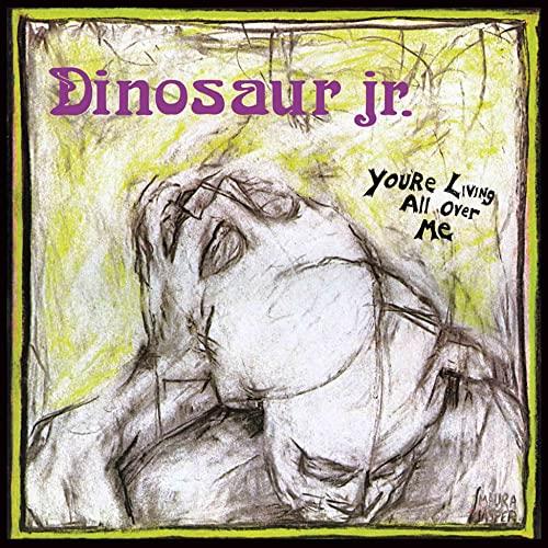 Dinosaur Jr - You're Living All Over Me - Lp