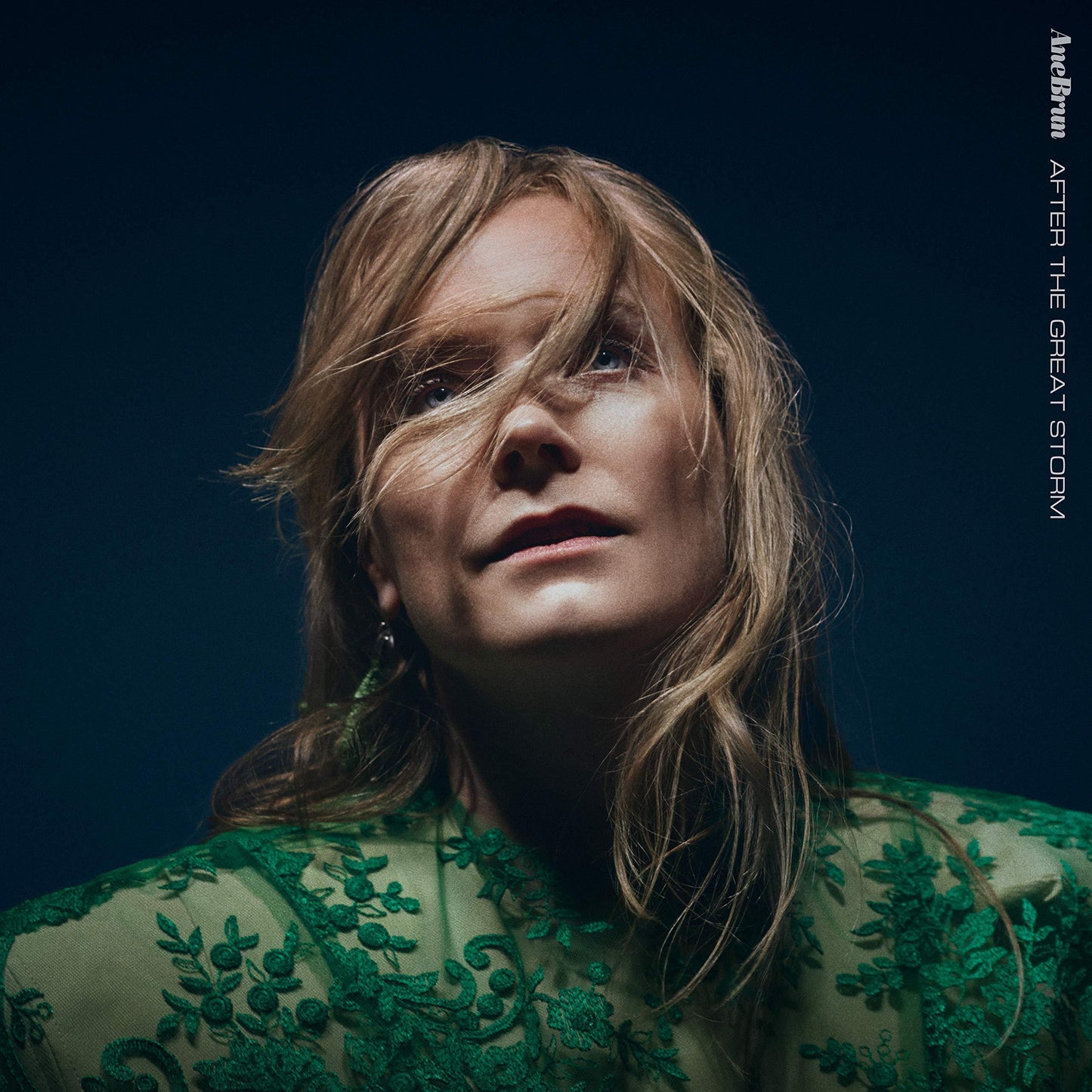Ane Brun - After the Great Storm - Cd