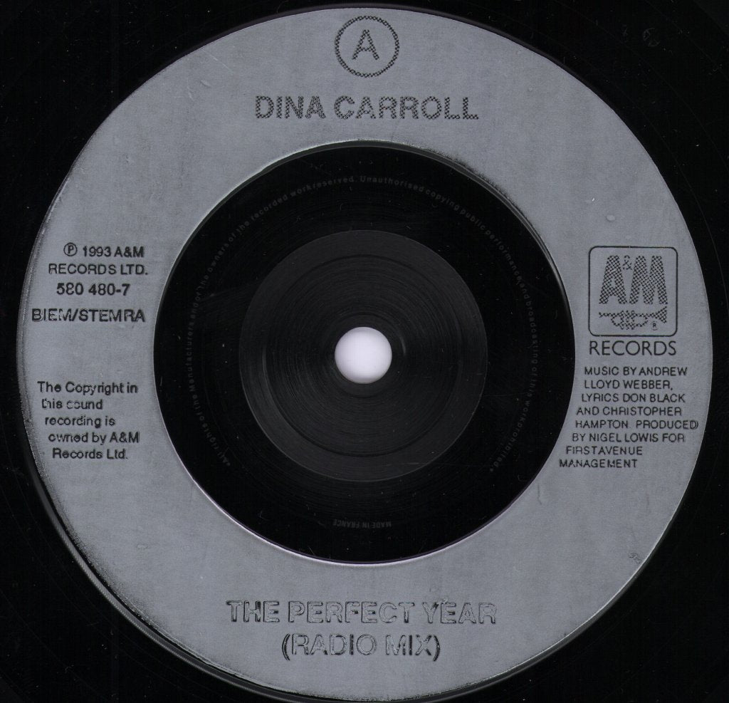 Dina Carroll - Perfect Year - 7 Inch