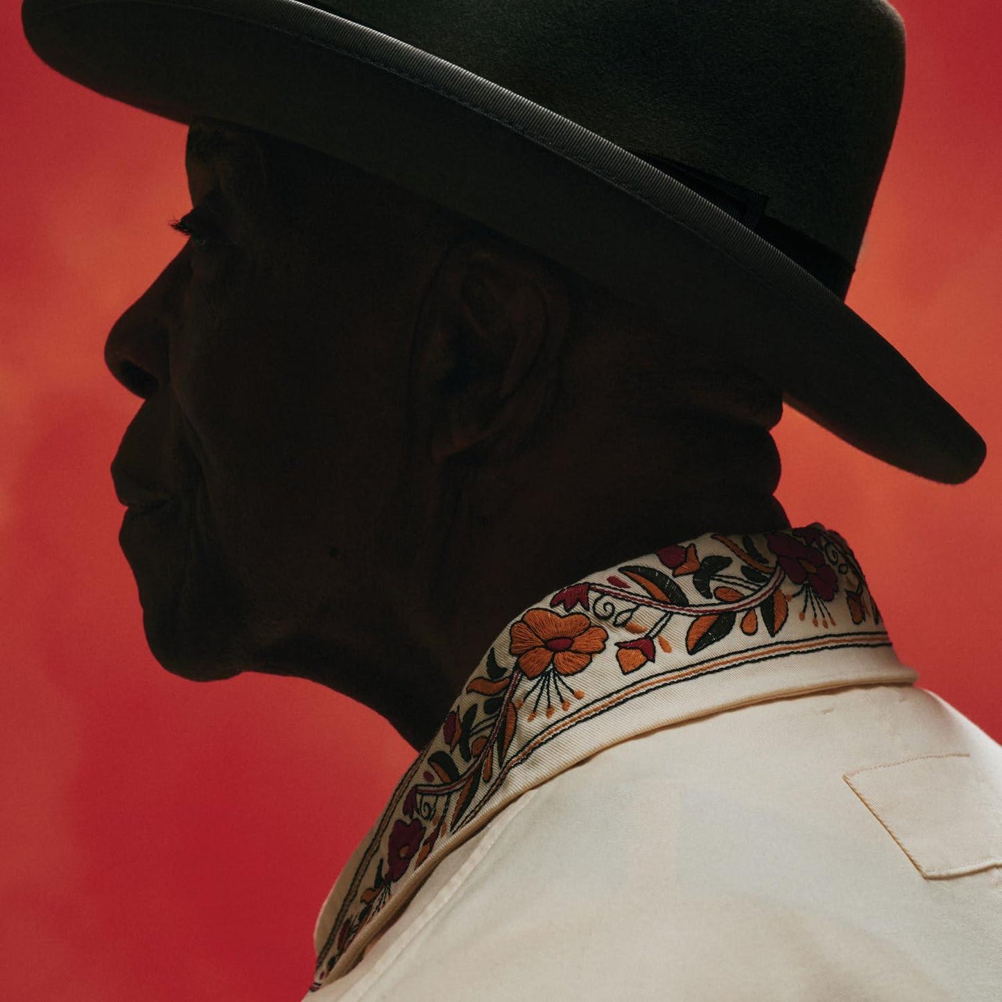 Buddy Guy - Ain't Done With the Blues - Double Lp