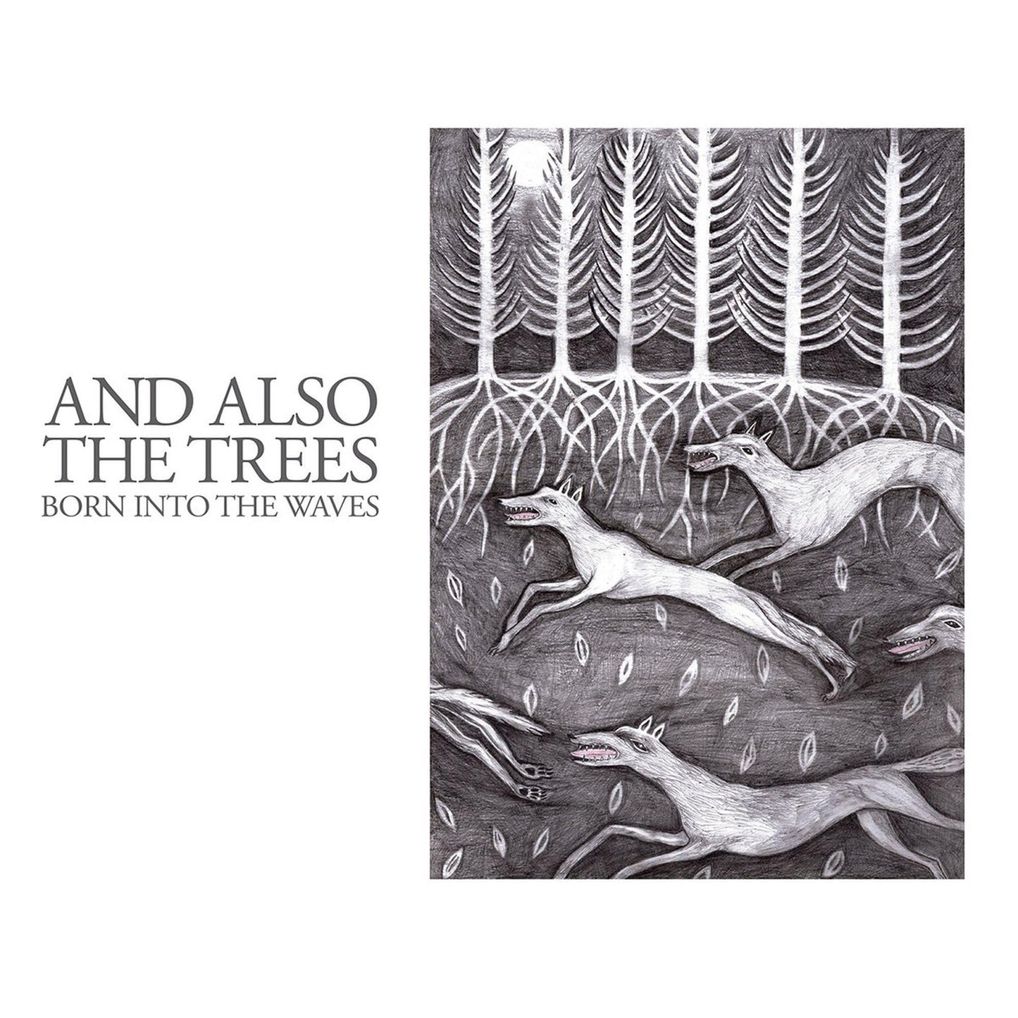 And Also The Trees - Born Into the Waves - Cd