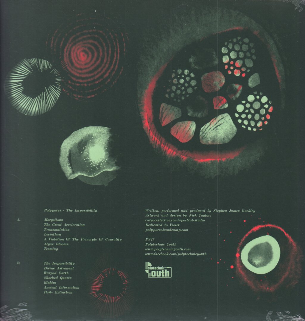 Polypores - Impossibility - Lp