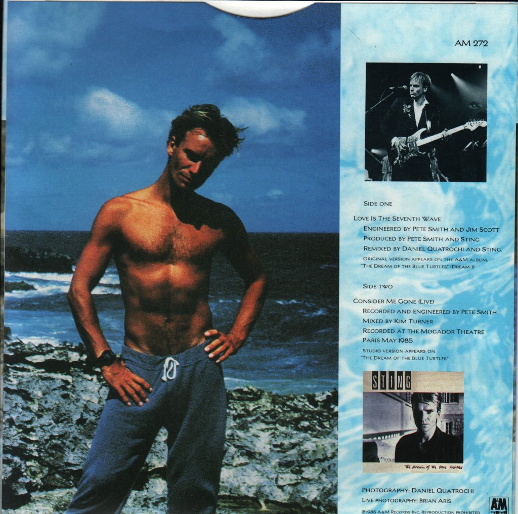 Sting - Love Is The Seventh Wave - 7 Inch
