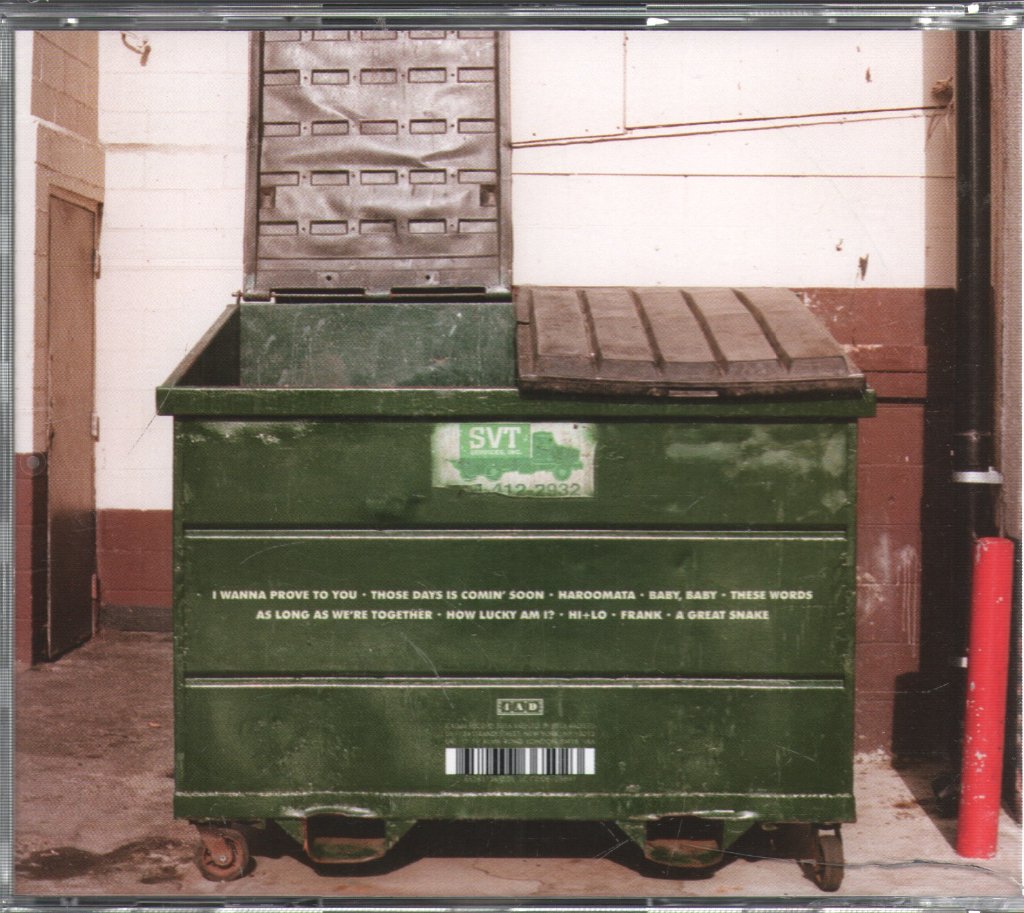 Lemon Twigs - Do Hollywood - Cd