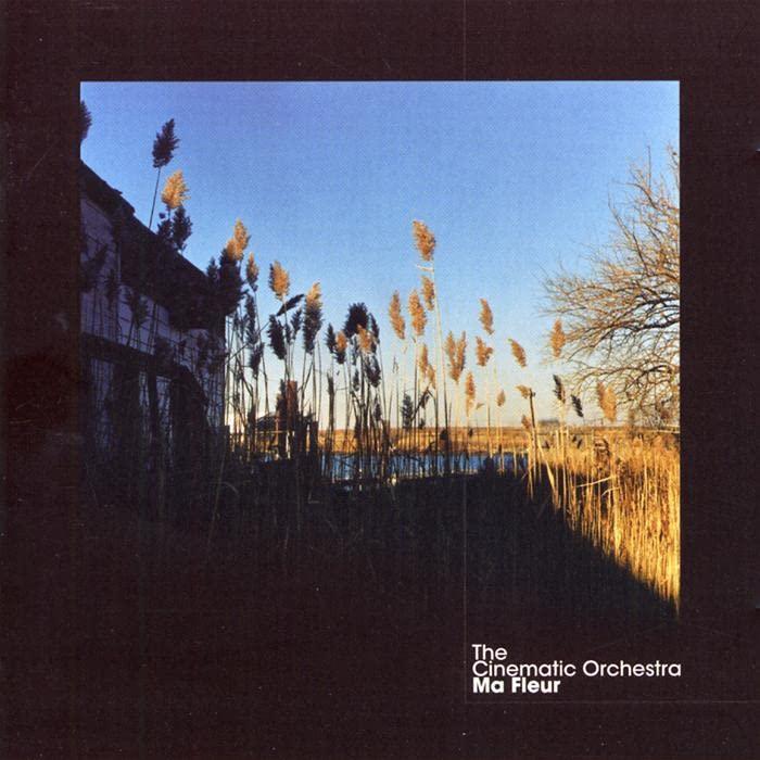 Cinematic Orchestra - Ma Fleur - Cd