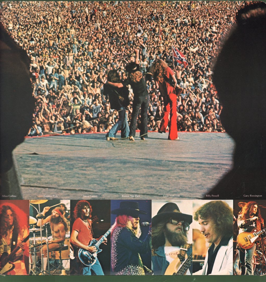 Lynyrd Skynyrd - Skynyrd's First And... Last - Lp