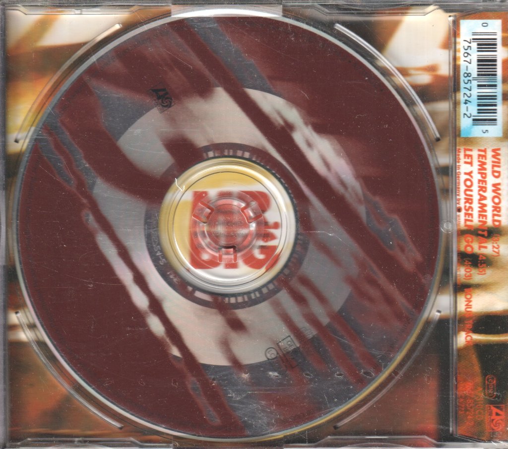 Mr Big (Metal Group) - Wild World - Cd