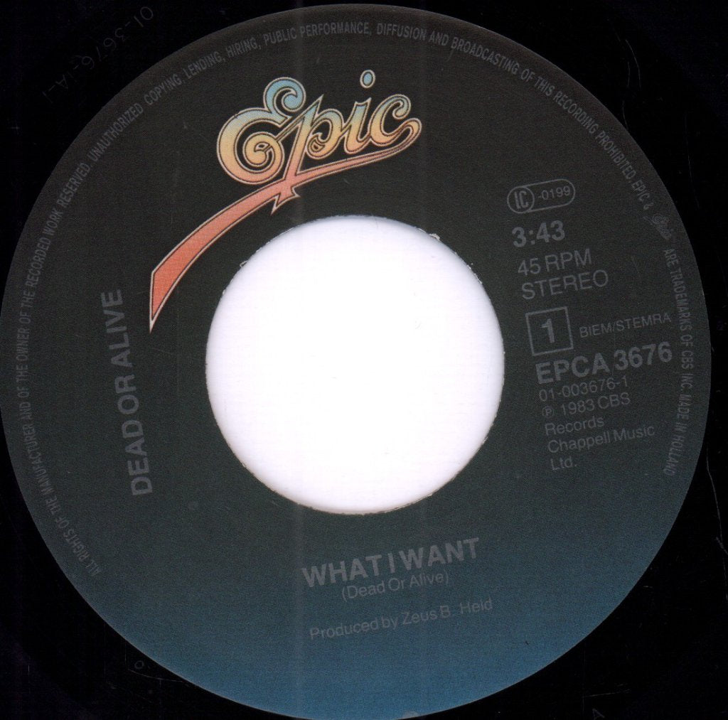 Dead Or Alive - What I Want - 7 Inch