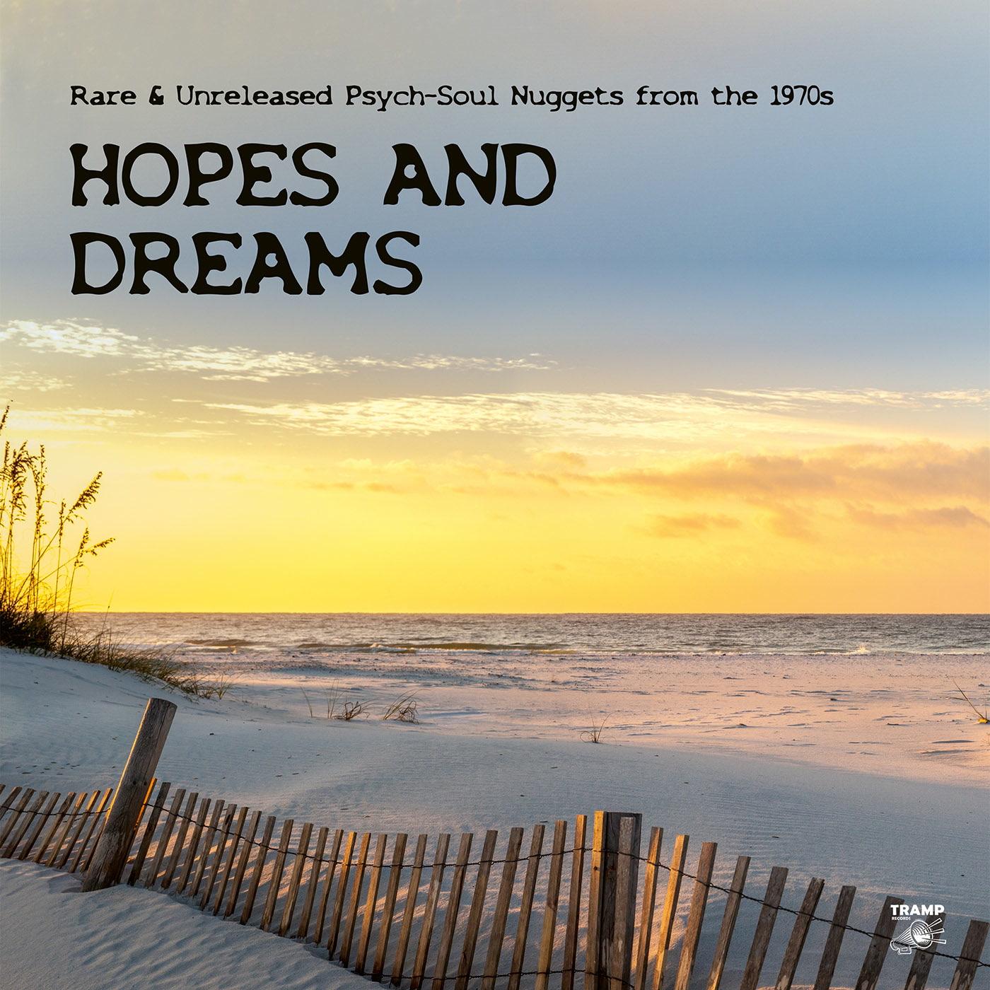 Various Artists - Hopes and Dreams - Rare & Unreleased Psych-Soul Nuggets From the 1970s - Double Lp