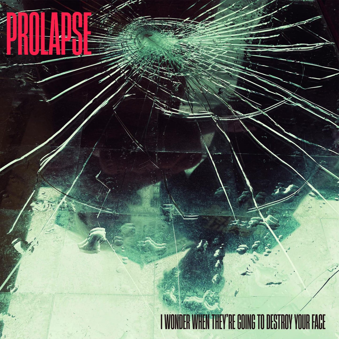 Prolapse - I Wonder When They're Going To Destroy Your Face - Cd