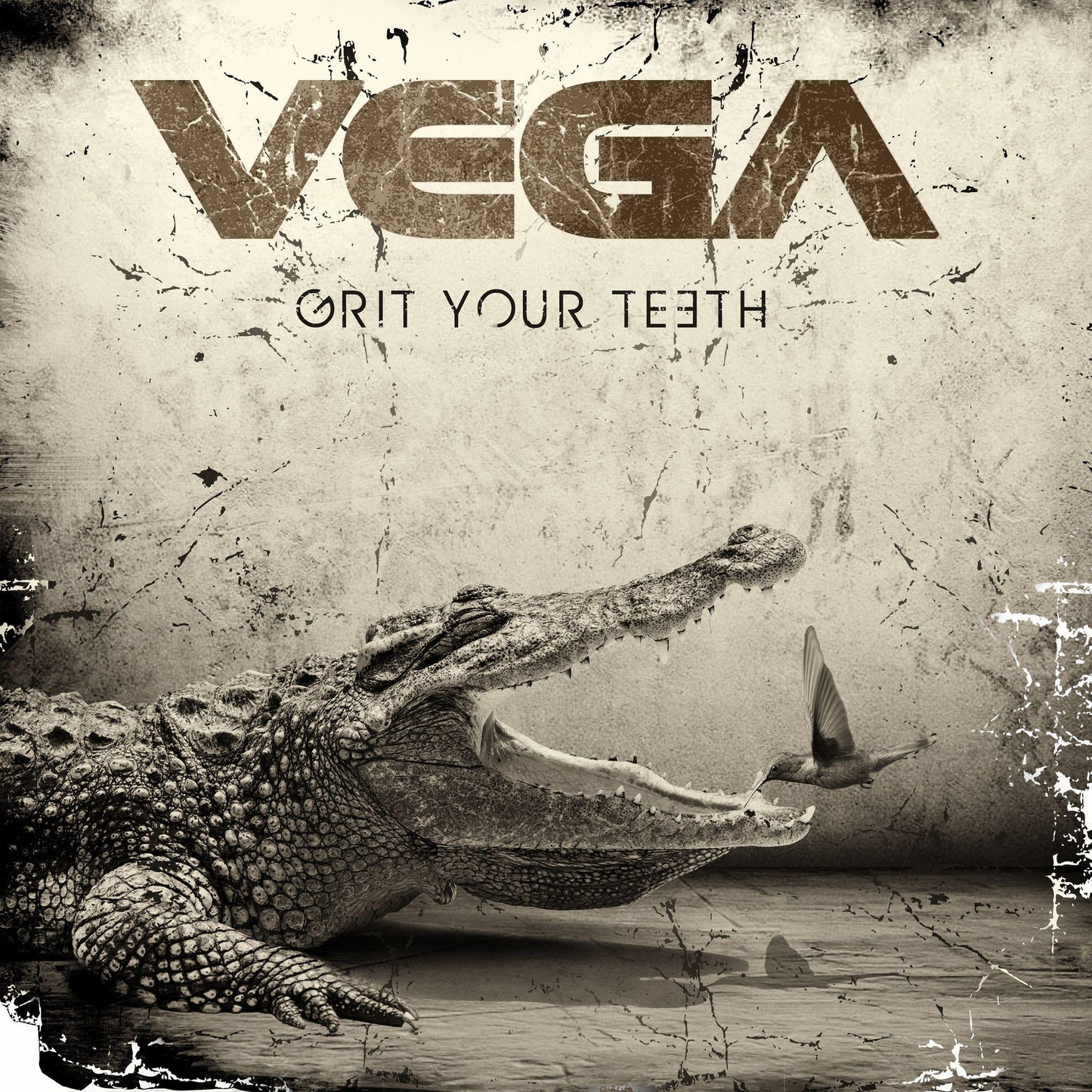 Vega - Grit Your Teeth - Cd