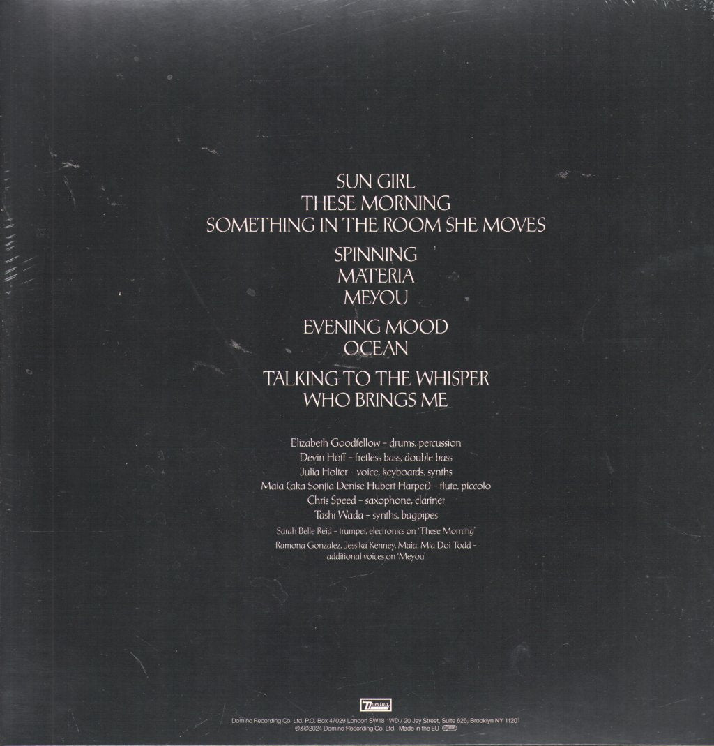 Julia Holter - Something in the Room She Moves - Double Lp