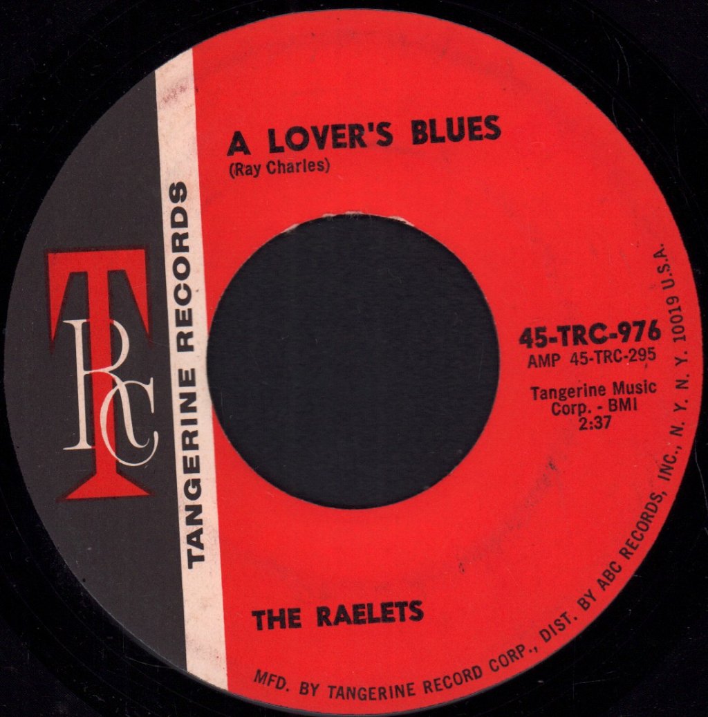 Raelets - Into Something Fine - 7 Inch