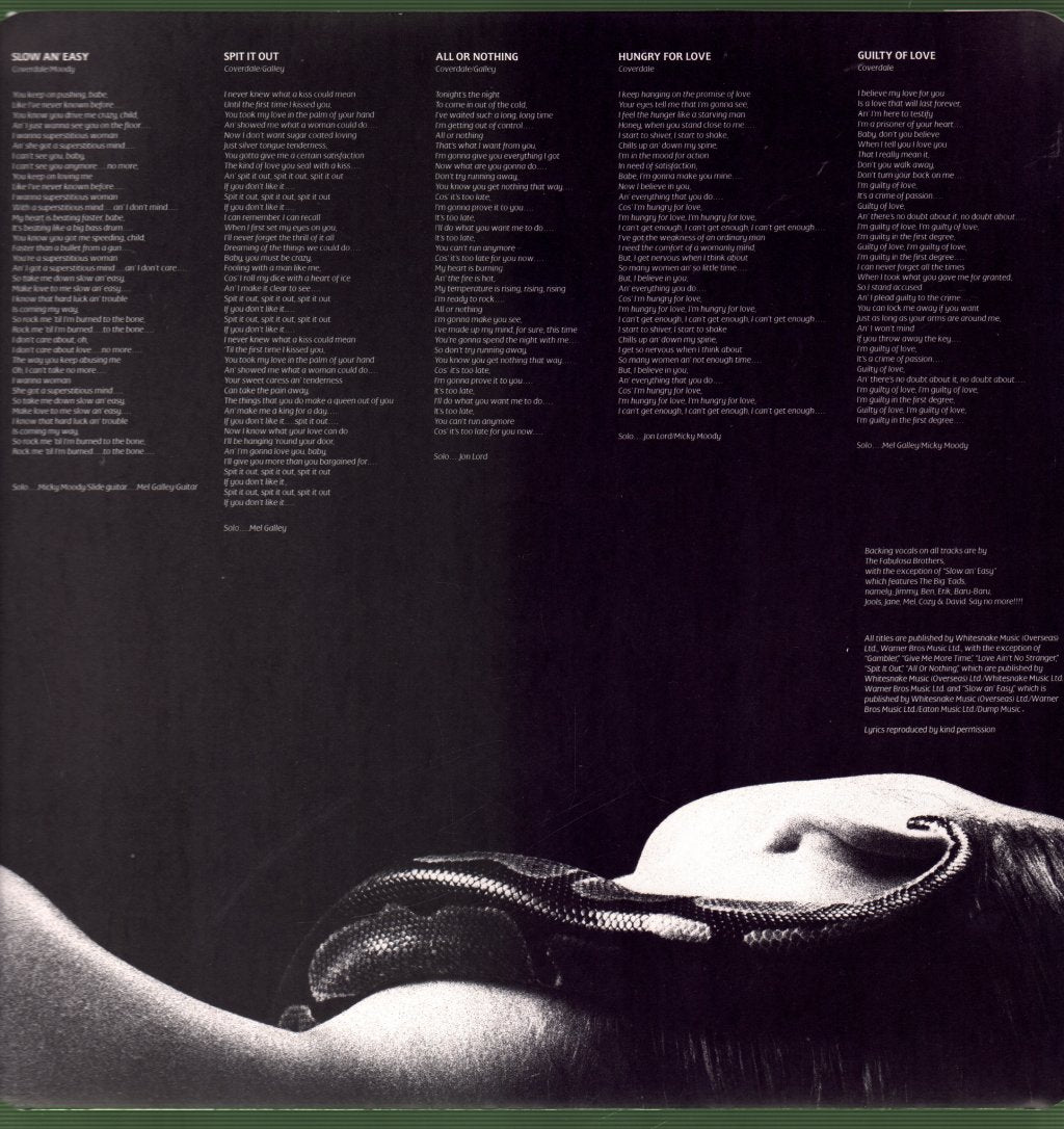 Whitesnake - Slide It In - Lp
